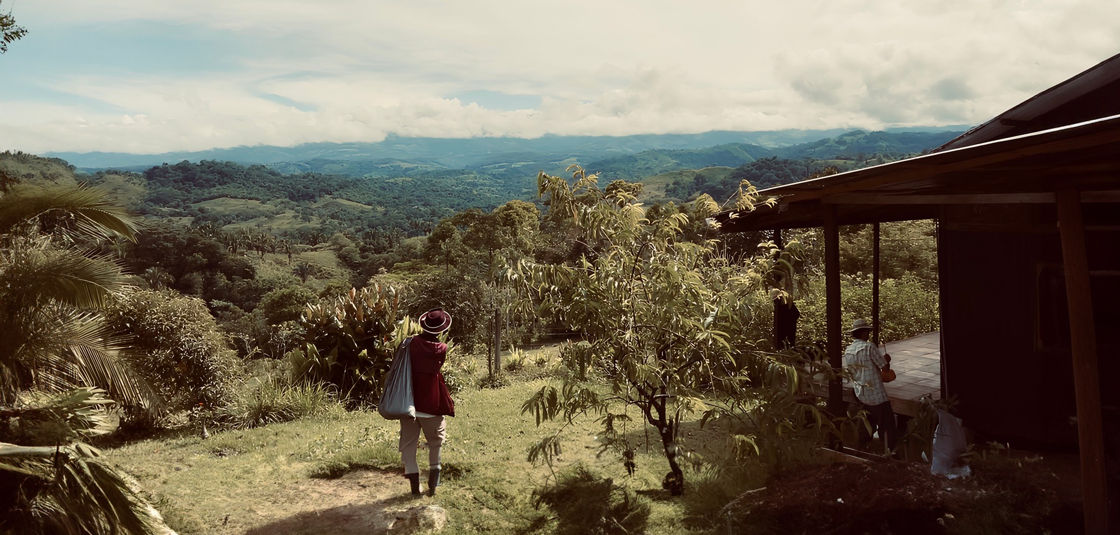 View across the Quantum Cacao farm in Coto Brus, Costa Rica, with the farmhouse and rainforest valley beyond